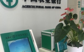 中国农业银行(中国农业银行app)